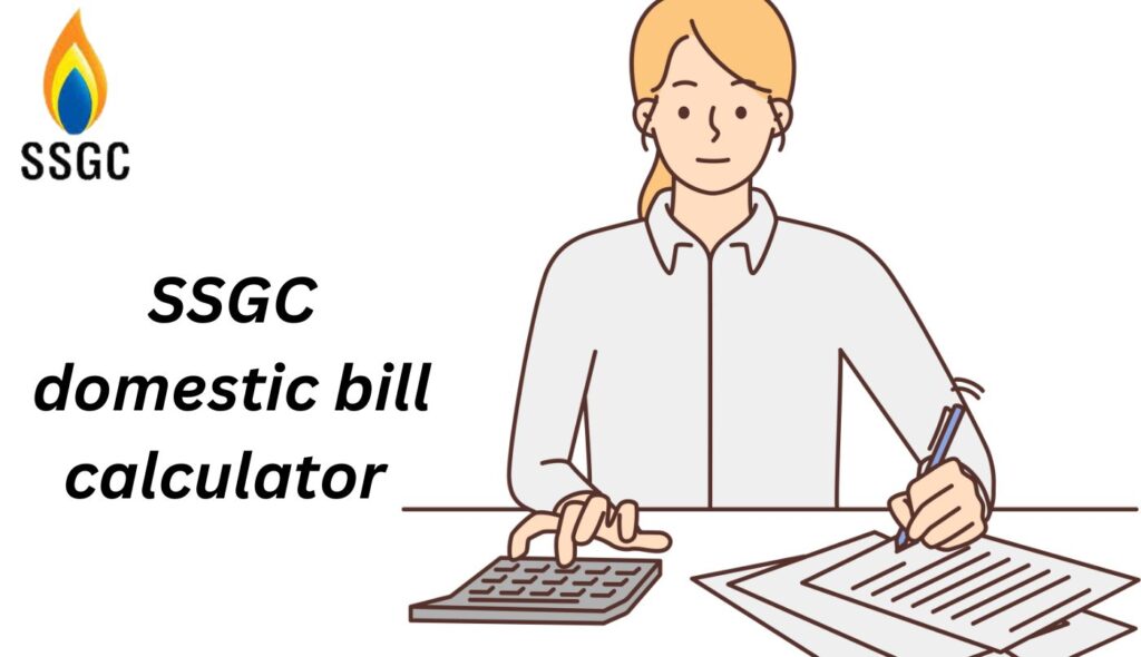  SSGC domestic bill Calculator