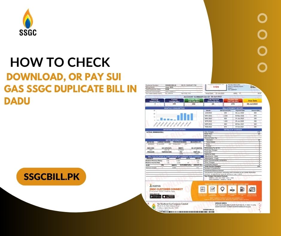 How to Check, Download, or Pay Sui Gas SSGC Duplicate Bill in Dadu