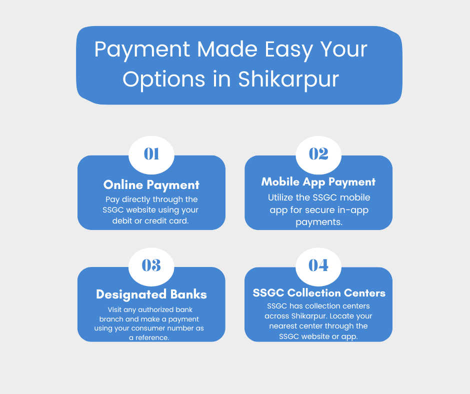 Payment Made Easy Your Options in Shikarpur