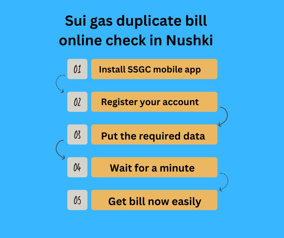 Check Sui Gas Bill In Nushki